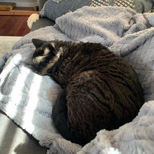 Meet your Posher, Rachel